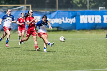 Bild 119 - wBJ HSV Leistungsvergleich